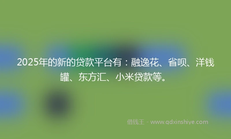 2025年的新的贷款平台有：融逸花、省呗、洋钱罐、东方汇、小米贷款等。
