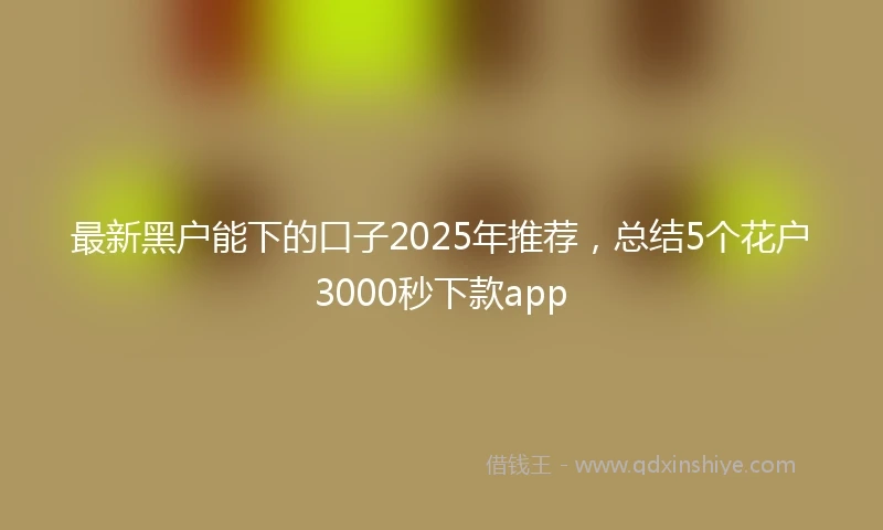 最新黑户能下的口子2025年推荐，总结5个花户3000秒下款app