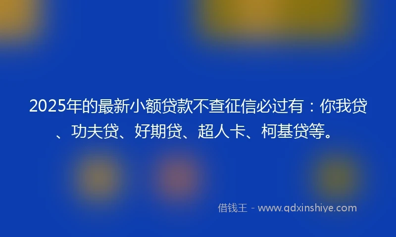 2025年的最新小额贷款不查征信必过有：你我贷、功夫贷、好期贷、超人卡、柯基贷等。