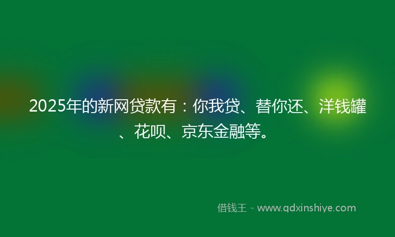 2025年的新网贷款有：你我贷、替你还、洋钱罐、花呗、京东金融等。