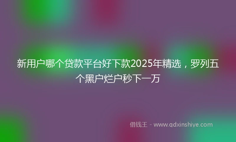 新用户哪个贷款平台好下款2025年精选，罗列五个黑户烂户秒下一万