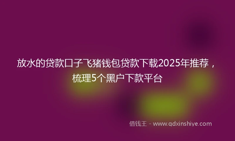 放水的贷款口子飞猪钱包贷款下载2025年推荐，梳理5个黑户下款平台
