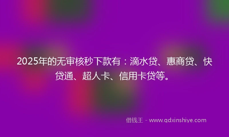 2025年的无审核秒下款有：滴水贷、惠商贷、快贷通、超人卡、信用卡贷等。