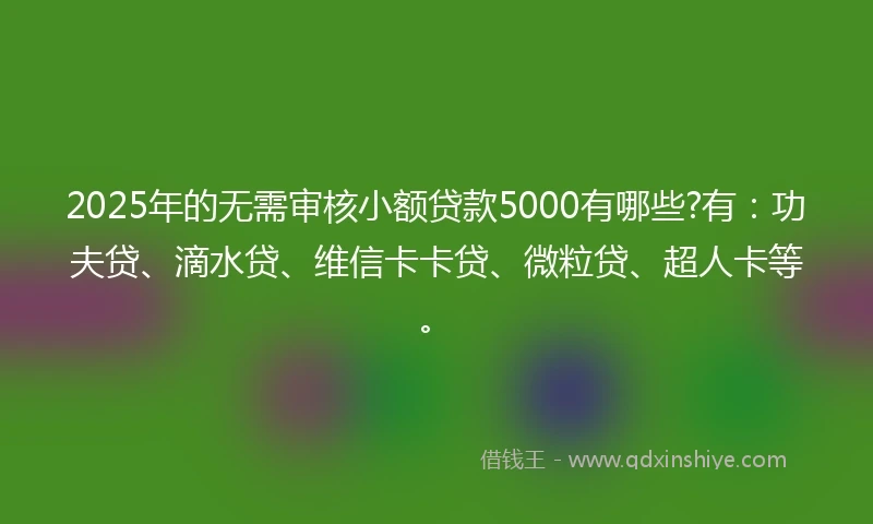 2025年的无需审核小额贷款5000有哪些?有：功夫贷、滴水贷、维信卡卡贷、微粒贷、超人卡等。