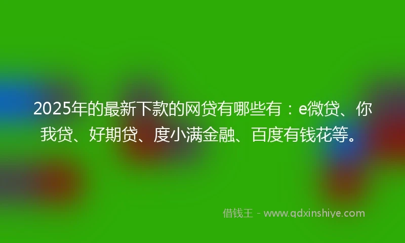 2025年的最新下款的网贷有哪些有：e微贷、你我贷、好期贷、度小满金融、百度有钱花等。