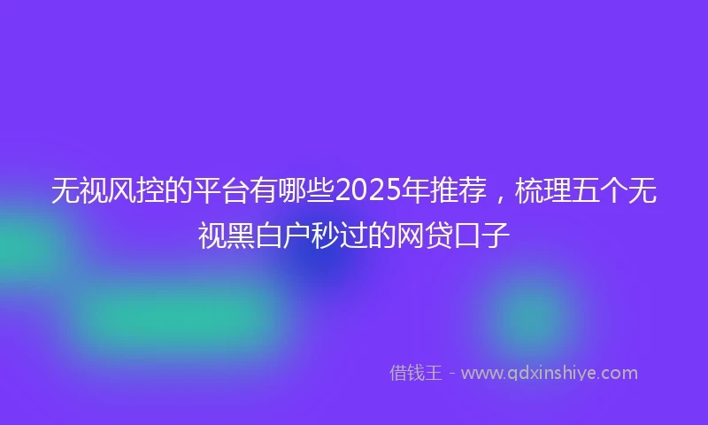无视风控的平台有哪些2025年推荐，梳理五个无视黑白户秒过的网贷口子