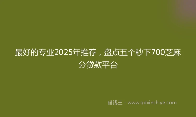 最好的专业2025年推荐，盘点五个秒下700芝麻分贷款平台