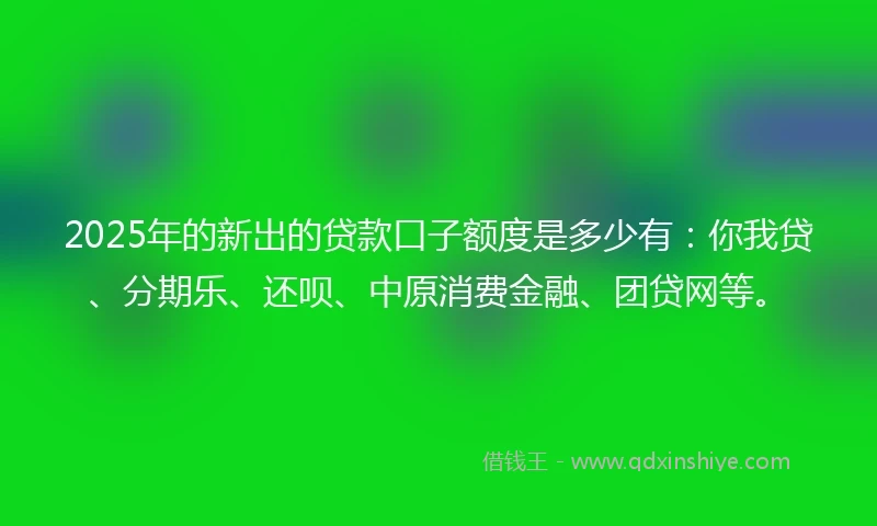 2025年的新出的贷款口子额度是多少有:你我贷、分期乐、还呗、中原消费金融、团贷网等。