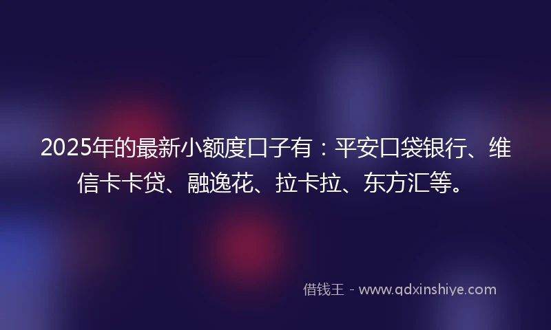2025年的最新小额度口子有：平安口袋银行、维信卡卡贷、融逸花、拉卡拉、东方汇等。