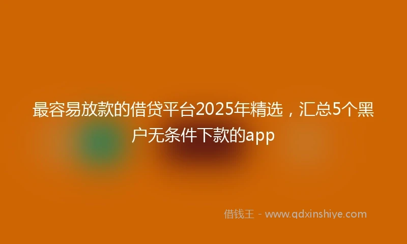 最容易放款的借贷平台2025年精选，汇总5个黑户无条件下款的app
