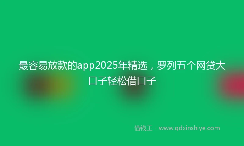 最容易放款的app2025年精选，罗列五个网贷大口子轻松借口子