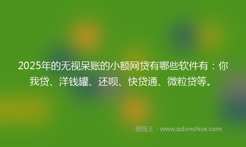 2025年的无视呆账的小额网贷有哪些软件有：你我贷、洋钱罐、还呗、快贷通、微粒贷等。