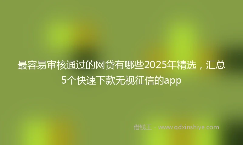 最容易审核通过的网贷有哪些2025年精选，汇总5个快速下款无视征信的app