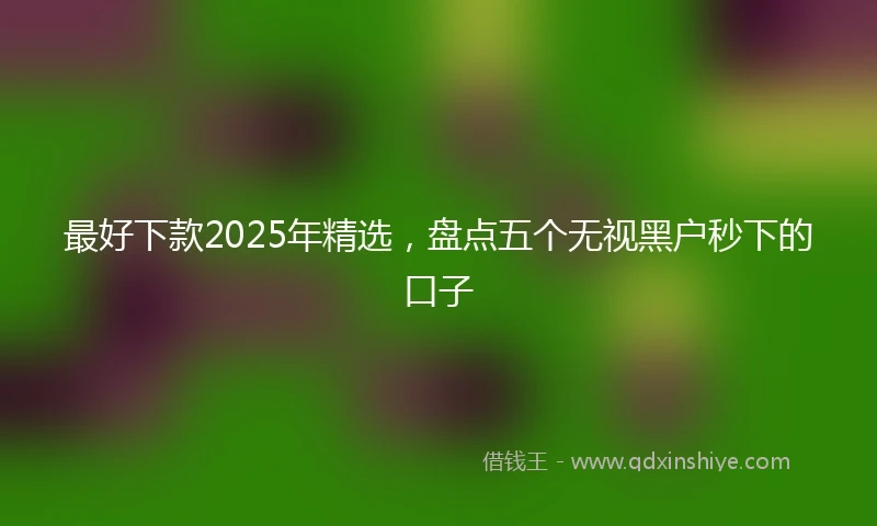 最好下款2025年精选，盘点五个无视黑户秒下的口子