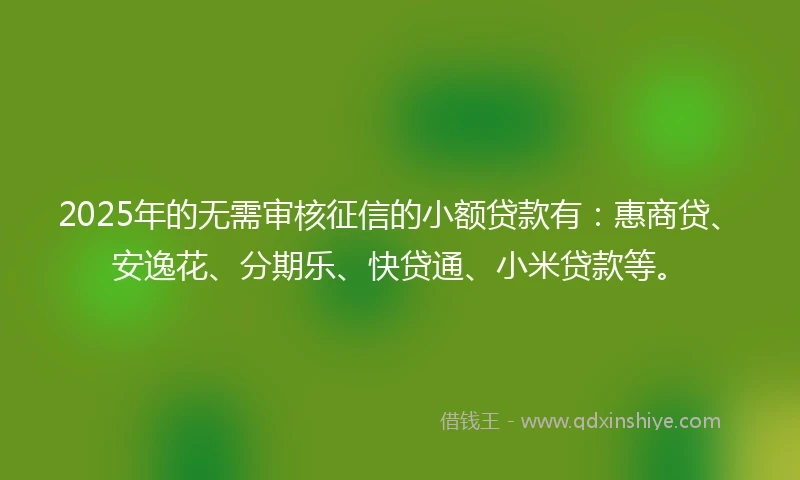 2025年的无需审核征信的小额贷款有：惠商贷、安逸花、分期乐、快贷通、小米贷款等。