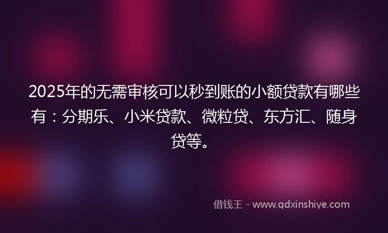 2025年的无需审核可以秒到账的小额贷款有哪些有：分期乐、小米贷款、微粒贷、东方汇、随身贷等。