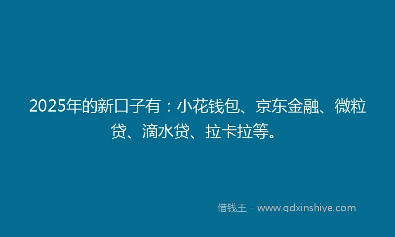 2025年的新口子有：小花钱包、京东金融、微粒贷、滴水贷、拉卡拉等。