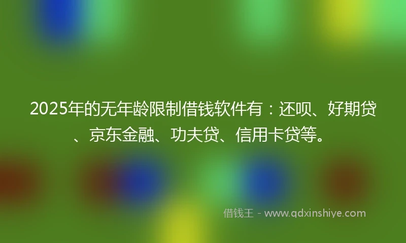 2025年的无年龄限制借钱软件有：还呗、好期贷、京东金融、功夫贷、信用卡贷等。