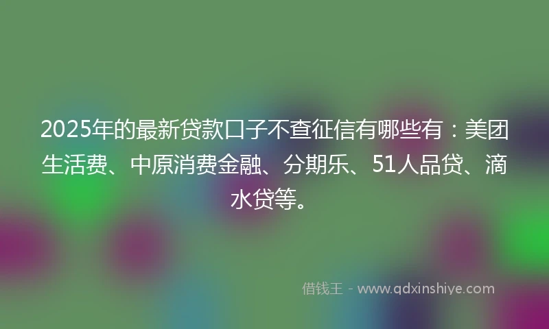 2025年的最新贷款口子不查征信有哪些有：美团生活费、中原消费金融、分期乐、51人品贷、滴水贷等。