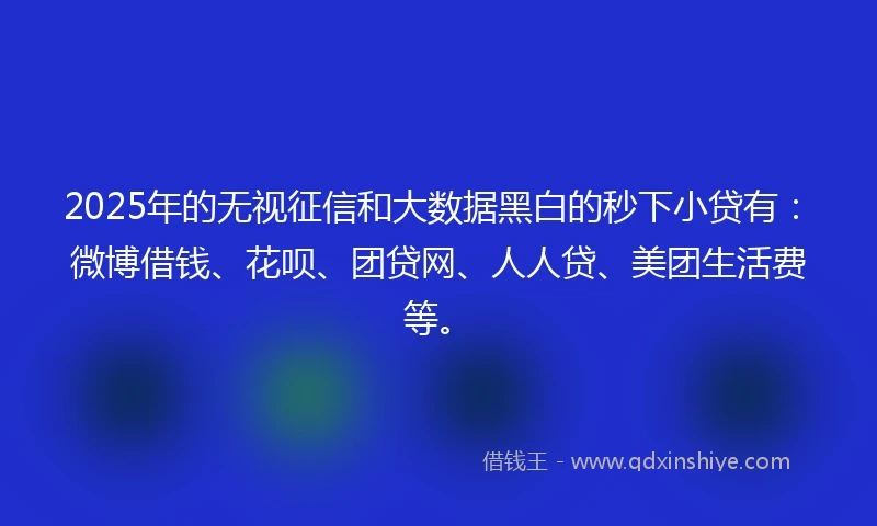 2025年的无视征信和大数据黑白的秒下小贷有：微博借钱、花呗、团贷网、人人贷、美团生活费等。