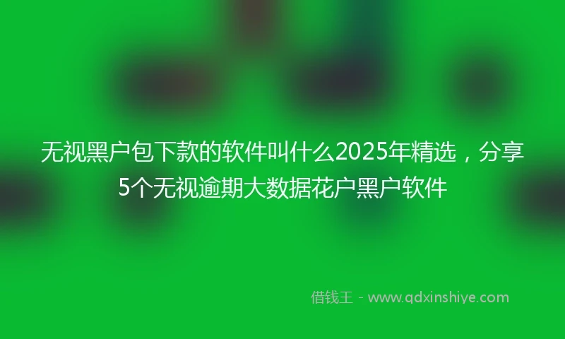 无视黑户包下款的软件叫什么2025年精选，分享5个无视逾期大数据花户黑户软件