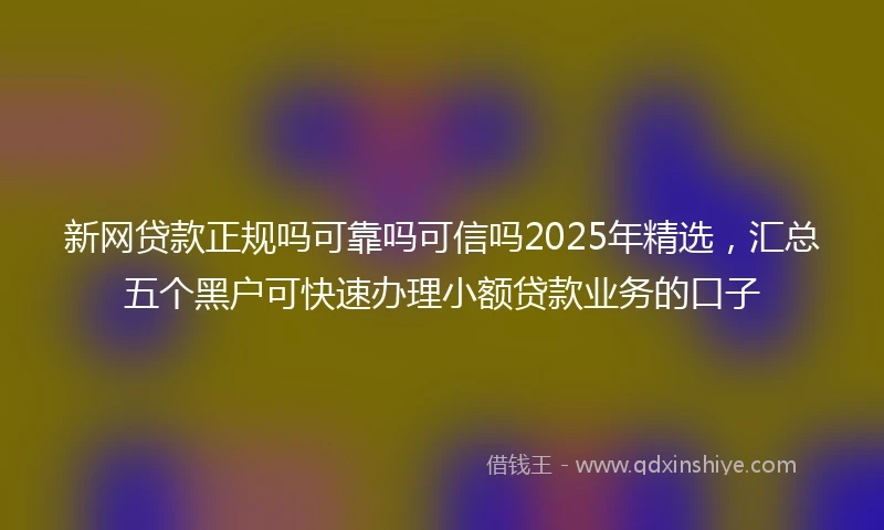 新网贷款正规吗可靠吗可信吗2025年精选，汇总五个黑户可快速办理小额贷款业务的口子