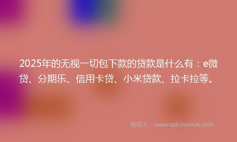 2025年的无视一切包下款的贷款是什么有：e微贷、分期乐、信用卡贷、小米贷款、拉卡拉等。