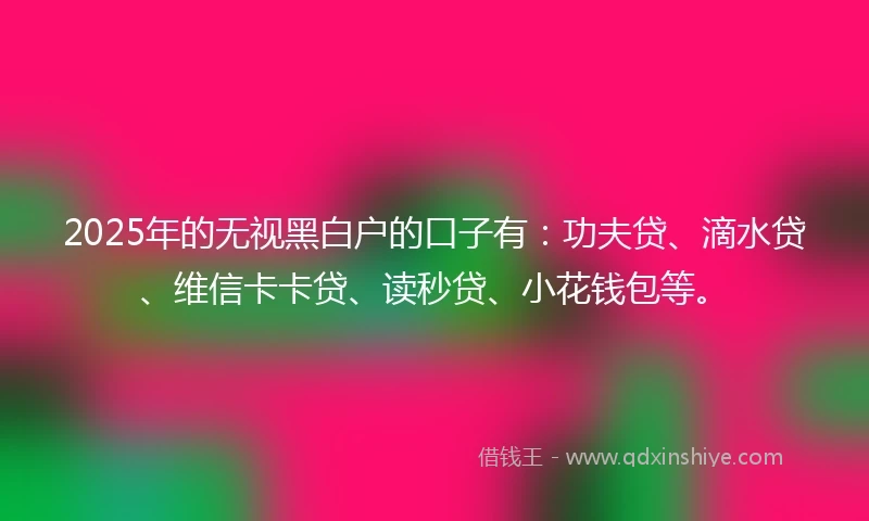 2025年的无视黑白户的口子有：功夫贷、滴水贷、维信卡卡贷、读秒贷、小花钱包等。