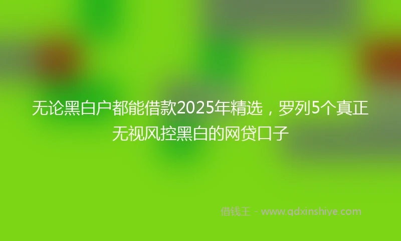 无论黑白户都能借款2025年精选，罗列5个真正无视风控黑白的网贷口子