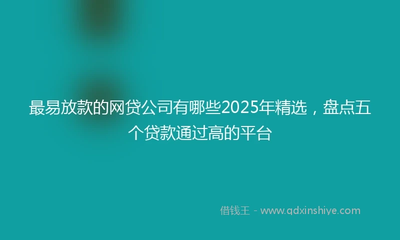 最易放款的网贷公司有哪些2025年精选，盘点五个贷款通过高的平台