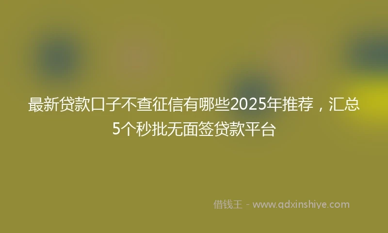 最新贷款口子不查征信有哪些2025年推荐，汇总5个秒批无面签贷款平台