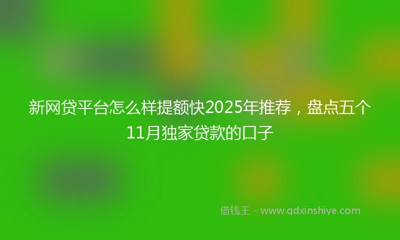 新网贷平台怎么样提额快2025年推荐，盘点五个11月独家贷款的口子