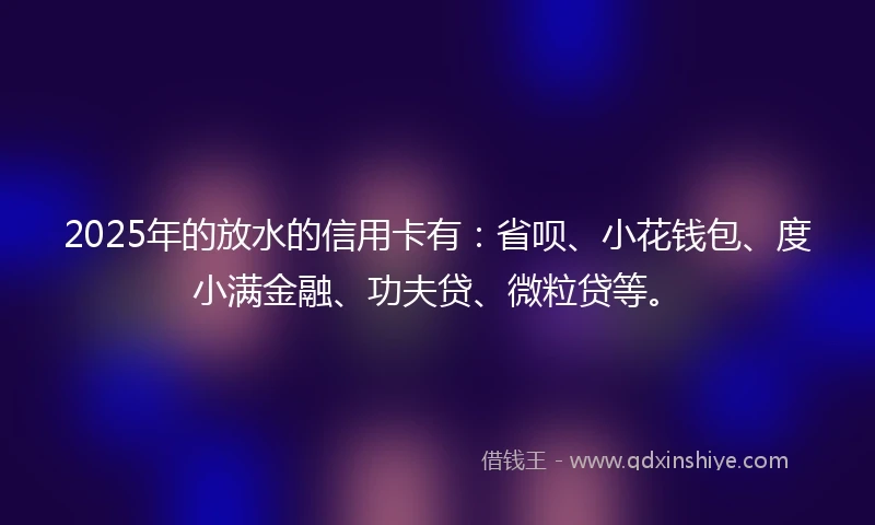 2025年的放水的信用卡有：省呗、小花钱包、度小满金融、功夫贷、微粒贷等。
