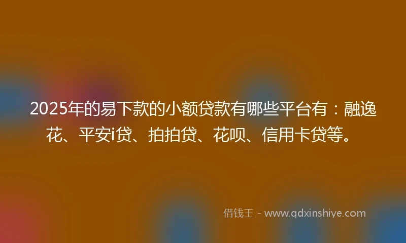 2025年的易下款的小额贷款有哪些平台有：融逸花、平安i贷、拍拍贷、花呗、信用卡贷等。