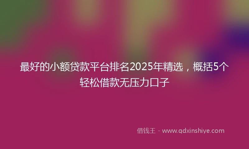 最好的小额贷款平台排名2025年精选，概括5个轻松借款无压力口子