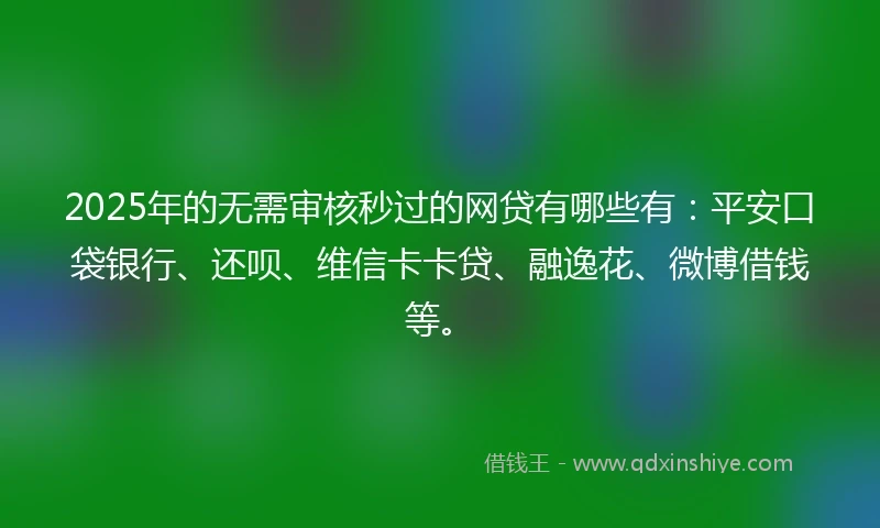 2025年的无需审核秒过的网贷有哪些有：平安口袋银行、还呗、维信卡卡贷、融逸花、微博借钱等。