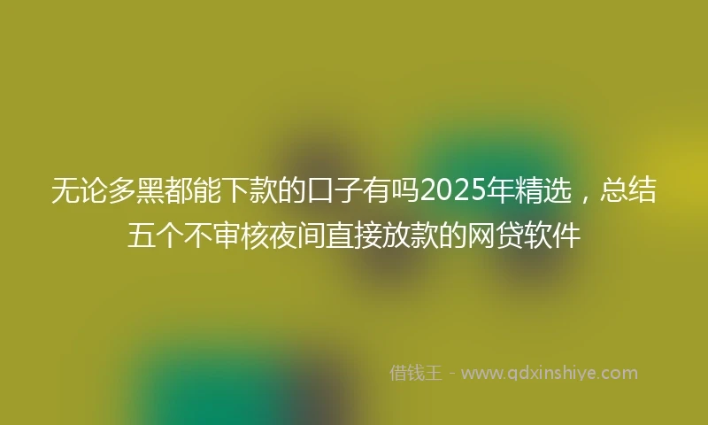 无论多黑都能下款的口子有吗2025年精选，总结五个不审核夜间直接放款的网贷软件