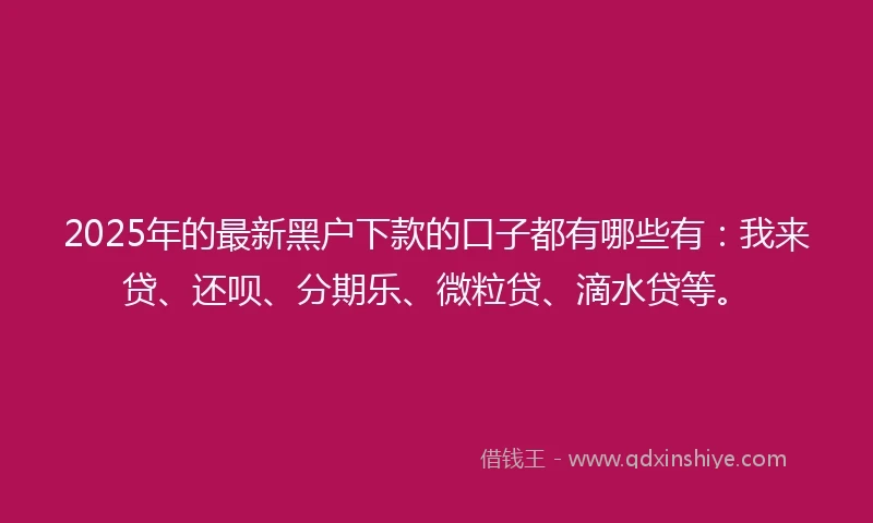 2025年的最新黑户下款的口子都有哪些有：我来贷、还呗、分期乐、微粒贷、滴水贷等。