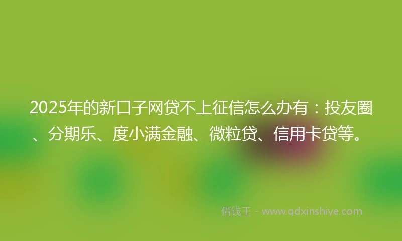 2025年的新口子网贷不上征信怎么办有：投友圈、分期乐、度小满金融、微粒贷、信用卡贷等。