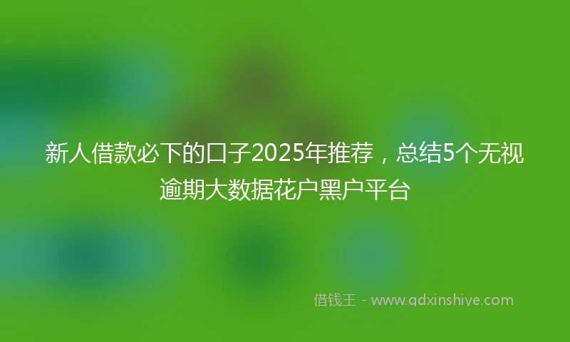 新人借款必下的口子2025年推荐，总结5个无视逾期大数据花户黑户平台
