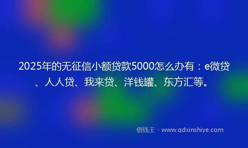 2025年的无征信小额贷款5000怎么办有：e微贷、人人贷、我来贷、洋钱罐、东方汇等。