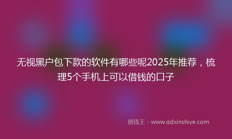 无视黑户包下款的软件有哪些呢2025年推荐，梳理5个手机上可以借钱的口子