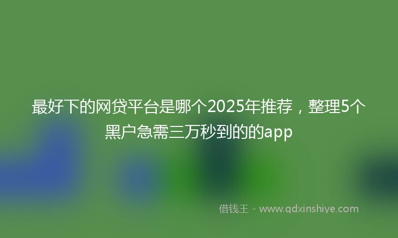 最好下的网贷平台是哪个2025年推荐，整理5个黑户急需三万秒到的的app