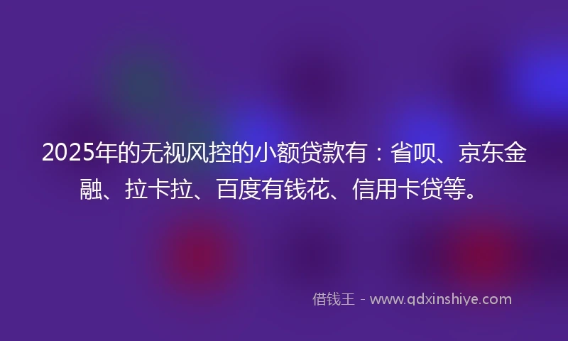 2025年的无视风控的小额贷款有：省呗、京东金融、拉卡拉、百度有钱花、信用卡贷等。