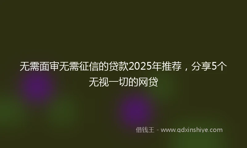无需面审无需征信的贷款2025年推荐，分享5个无视一切的网贷