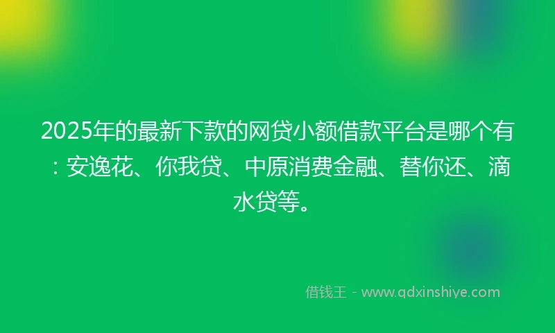 2025年的最新下款的网贷小额借款平台是哪个有：安逸花、你我贷、中原消费金融、替你还、滴水贷等。
