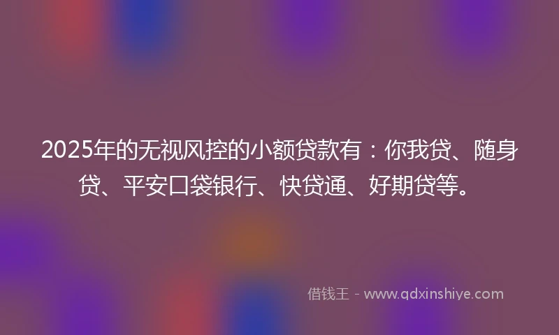 2025年的无视风控的小额贷款有：你我贷、随身贷、平安口袋银行、快贷通、好期贷等。