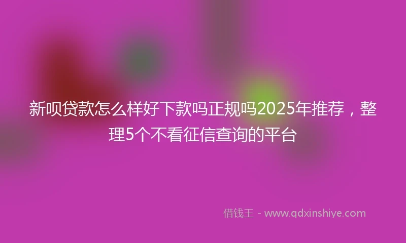 新呗贷款怎么样好下款吗正规吗2025年推荐，整理5个不看征信查询的平台