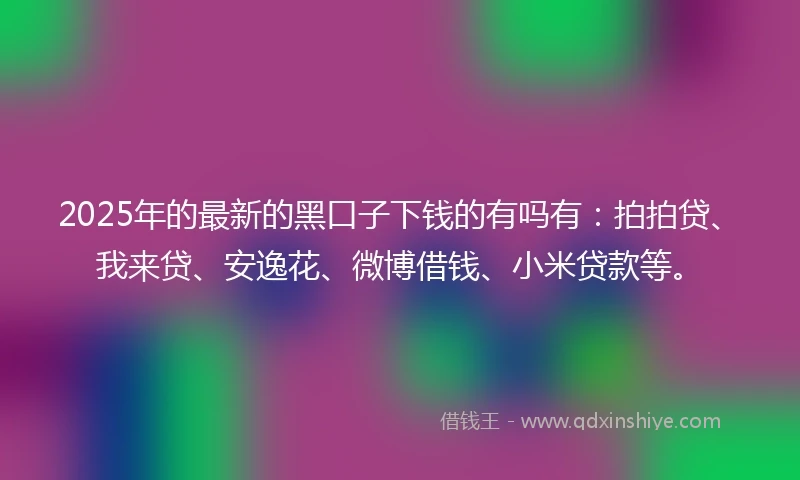 2025年的最新的黑口子下钱的有吗有：拍拍贷、我来贷、安逸花、微博借钱、小米贷款等。