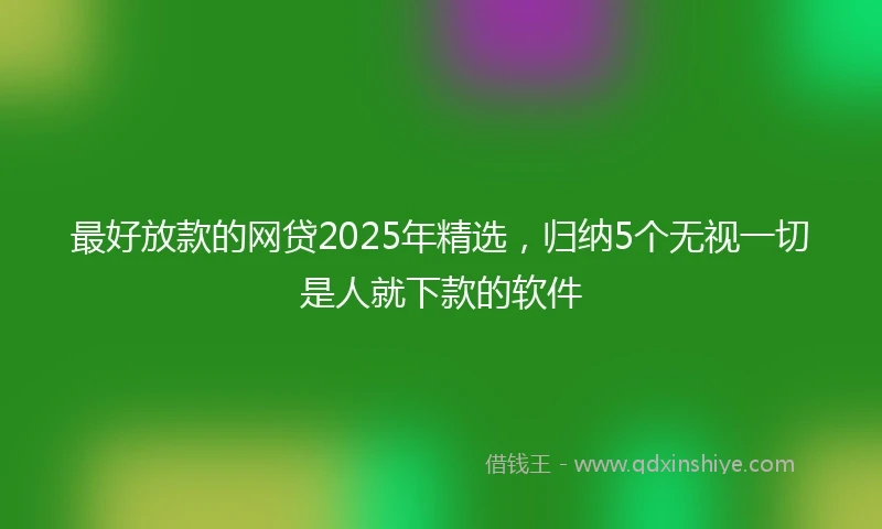 最好放款的网贷2025年精选,归纳5个无视一切是人就下款的软件